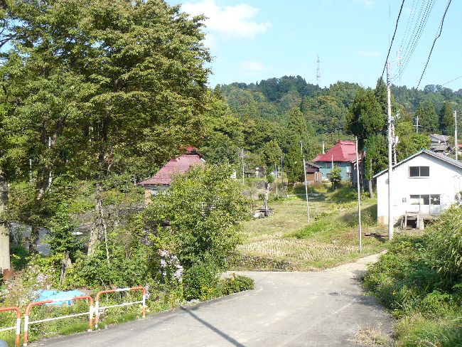 �����q�W��