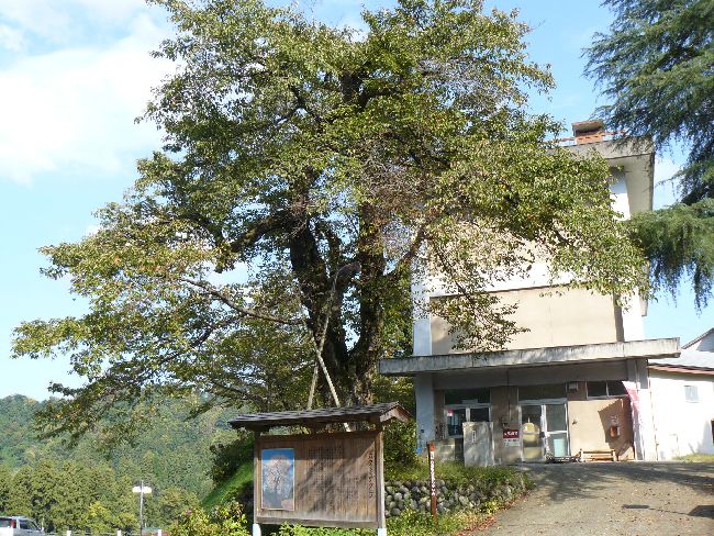 �����q�W��