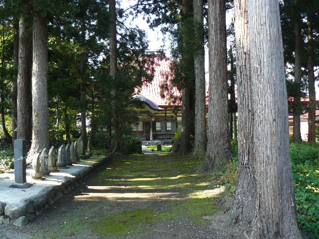 �\�����s�E������