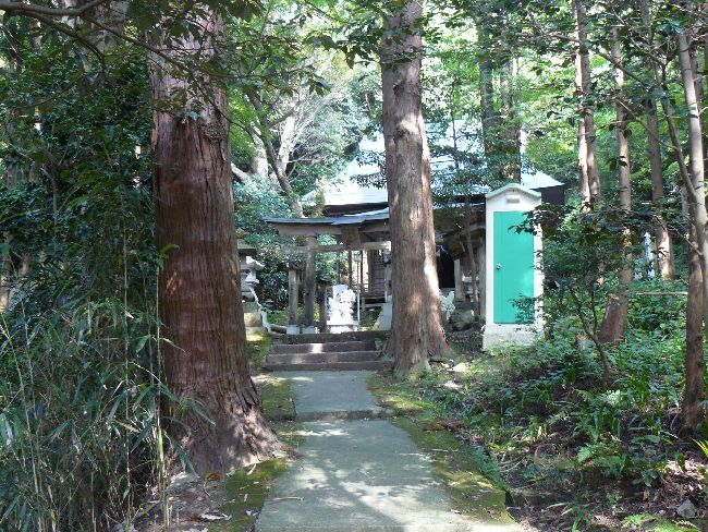 ���q�_��