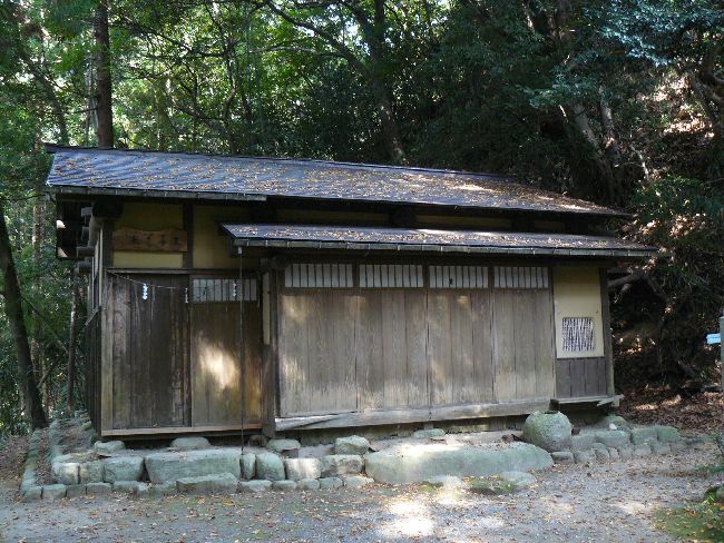 ���q�_��