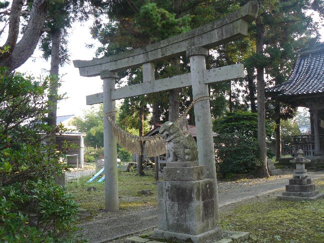 ���X��{�_��