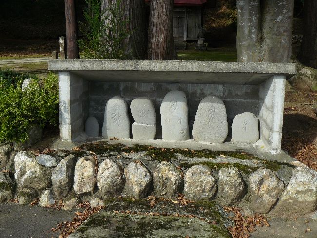 �����̂�����˔�