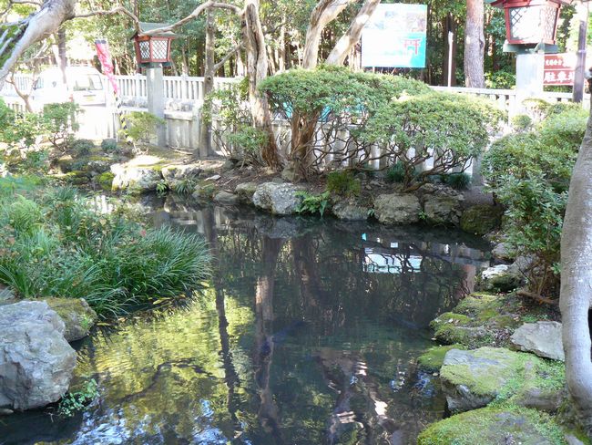 �����V�c�s�ݏ�