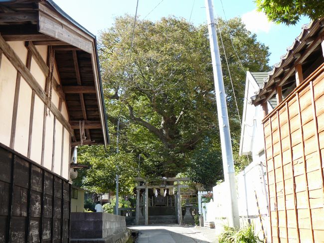 ���P���L�i�O�j�E��F��