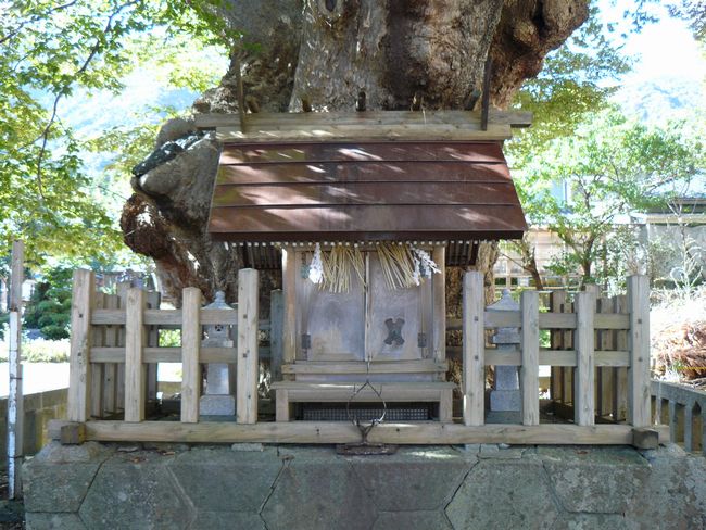 ���P���L�i�O�j�E��F��