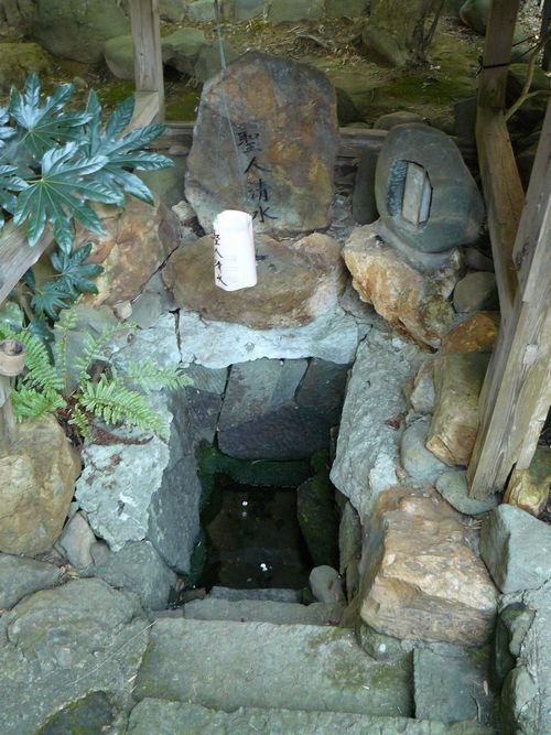 ��F���E�e�a���l�����E�ʐ^