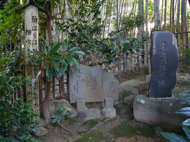 �e�a���l����