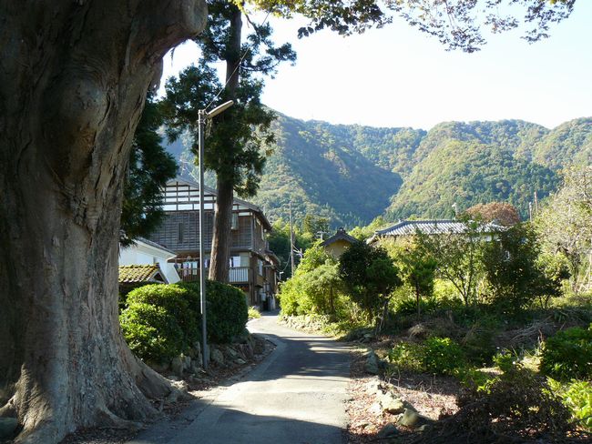 �z�K�̖؏���