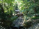 弥彦神社の境内を流れる御手洗川と玉ノ橋