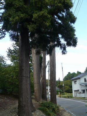 ��F�_�ЁF�Q��������